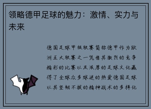 领略德甲足球的魅力：激情、实力与未来
