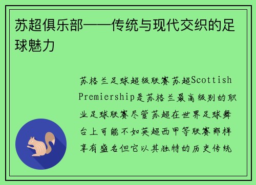 苏超俱乐部——传统与现代交织的足球魅力